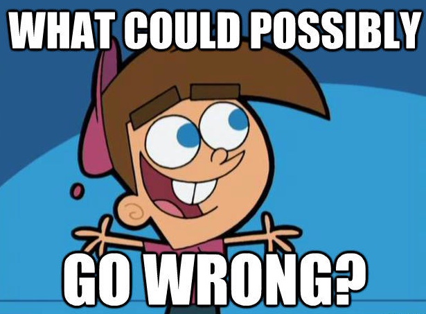 what could possibly go wrong meme