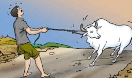 Thou Shall Learn to Say No to Customers