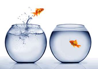 transition - Uncle Harry's Appliance Repair School If You Are So Smart, Why Are You So Broke?